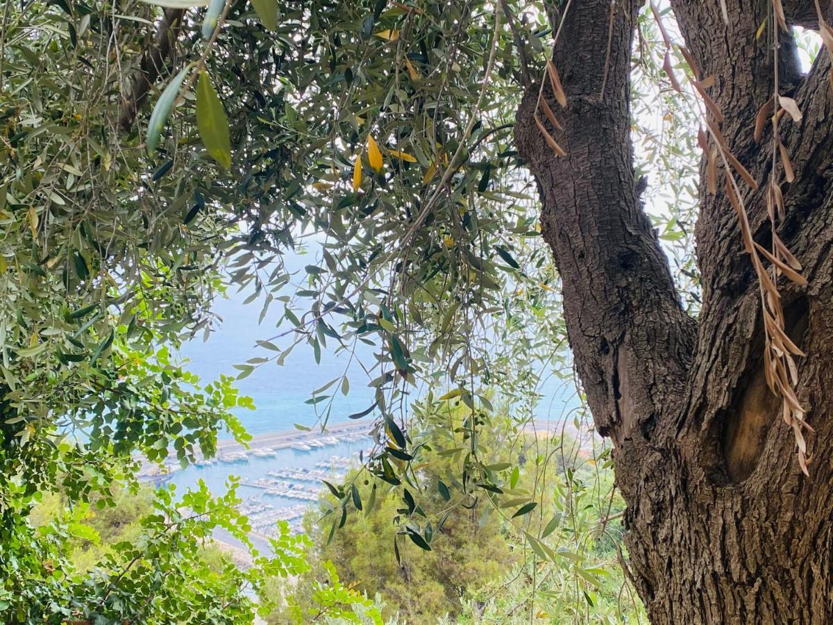 “Da Senso” Relax Nel Verde Vista Mare Finale Ligure Ngoại thất bức ảnh